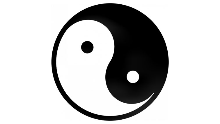 Workshop 24 Formen des Tai Chi